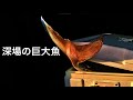 【ジギング】先輩と巨大魚の潜む外洋へ行ったら・・・