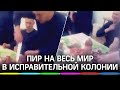 Запечённый поросёнок в ИК-37 попал на видео