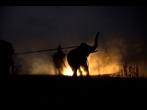 वीडियो: डेविड साइकेस द्वारा हवादार व्यंजन