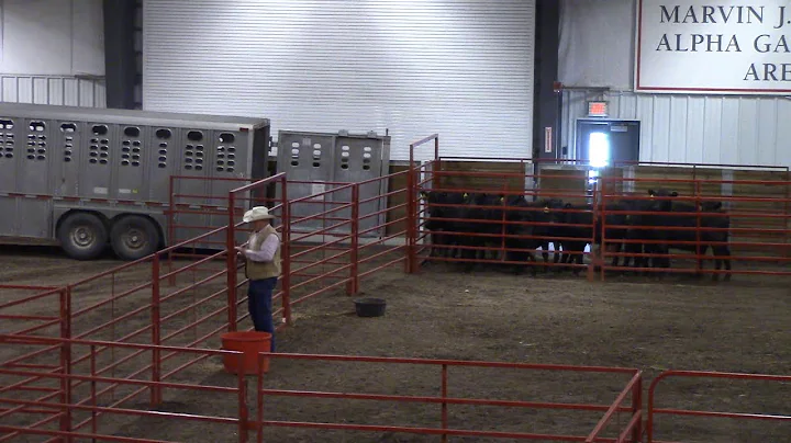Ron Gill, Transportation and Loading, Stockmanship...