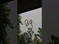 മഴ 🌧️| Rain #mazha #nature #naturelovers #shorts #viral #like
