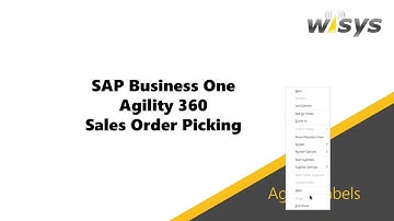 Sales Order Picking in SAP Business One using WiSys Agility 360