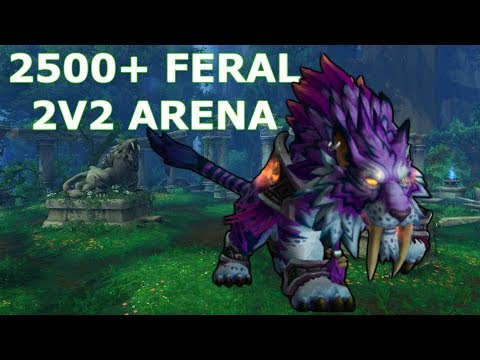 2500 2v2 Arena Feral Druid Pvp Wow Bfa 8 2 5 Youtube