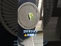 ゴリラの扇風機で虫除け