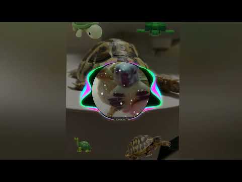 Snuggle Song Schnuffel Bunny Slowed Reverb 