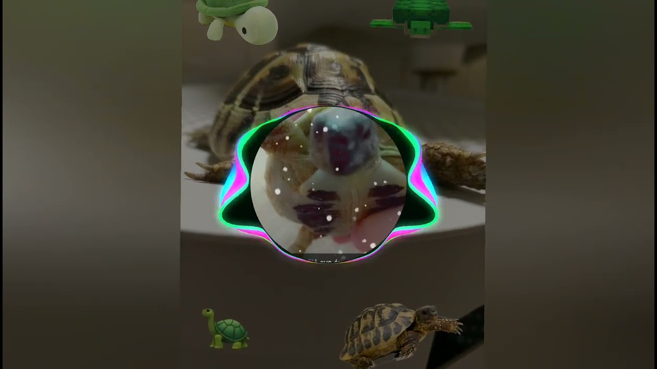 Snuggle song|schnuffel bunny|slowed & reverb|🐢