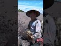 Mud Crab Hunting Skills