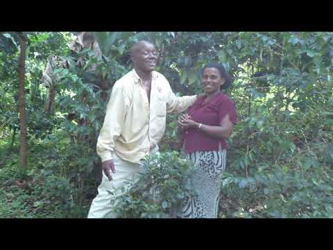 Maddona Ethiopian New Kaffa Music 2018 E C