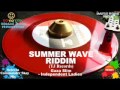 Summer Wave Riddim Mix [May 2012] TJ Records