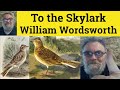 рџ µ To The Skylark By William Wordsworth Summary Analysis To The Skylark By William Wordsworth рџ µ To The Skylark By William Wordsworth Summary Analysis To The Skylark By William Wordsworth