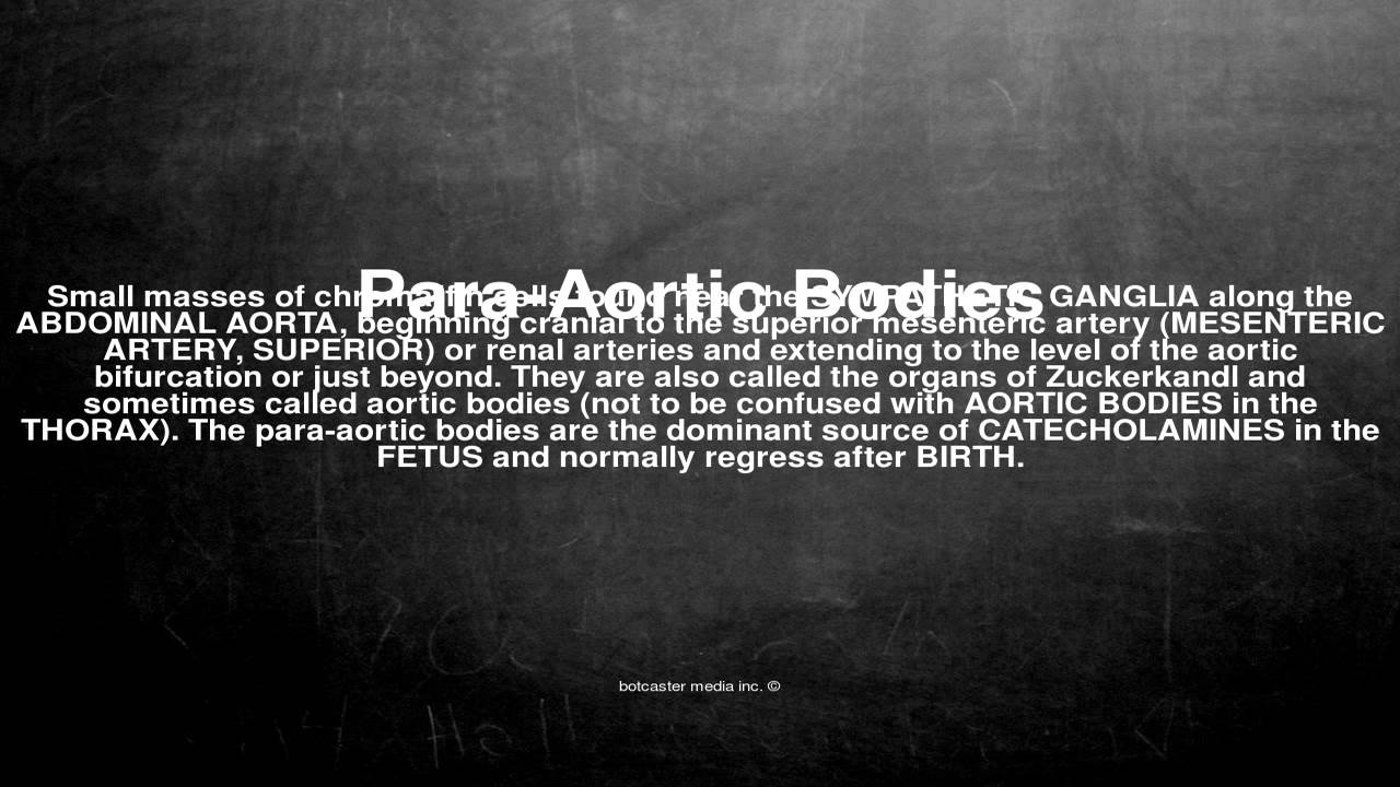 Medical Vocabulary What Does Para Aortic Bodies Mean YouTube Medical Vocabulary What Does Para Aortic Bodies Mean YouTube