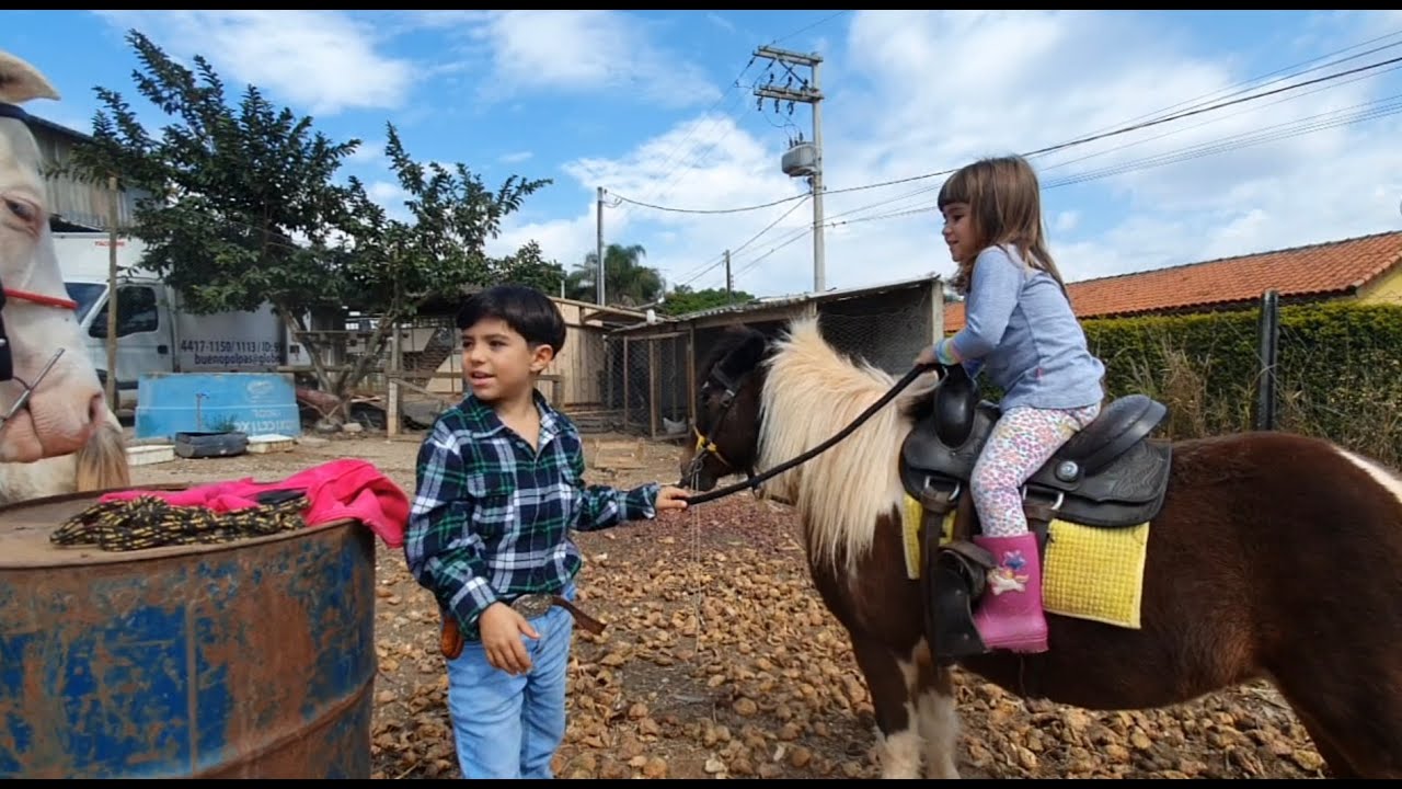 Papo Figura De Cavalo Pulando Menina