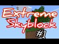 Extreme skyblock | 1 серия