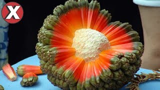 TOP 8 FRUTAS QUE VOCÊ NÃO VAI ACREDITAR QUE EXISTEM l Almanaque x