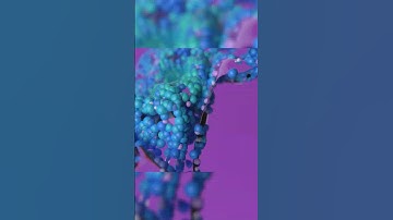 The INSYDIUM Design Team - Cloth Particles