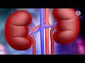 Symptoms of Kidney Failure