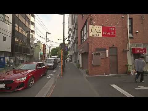 Walking from Hibarigaoka to Tanashi