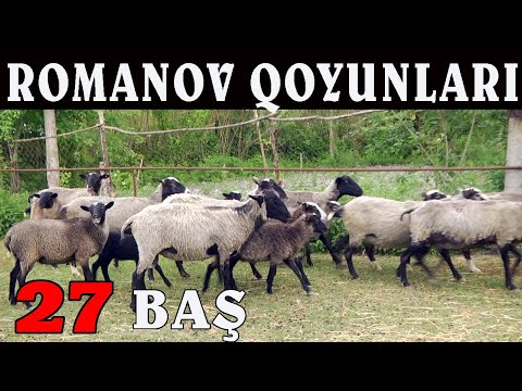 Video: Onlayn səyahət xidməti OneTwoTrip: rəylər