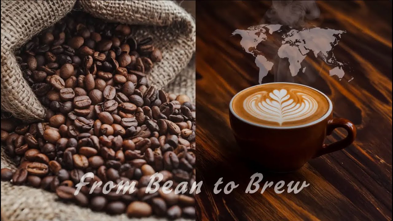 The Surprising History of Coffee: From Bean to Brew - YouTube