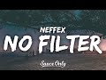 Neffex  no filter lyrics