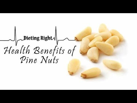 Amazing Health Benefits of Pine Nuts | Ventuno Dieting Right