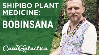 Shipibo Plant Medicine Bobinsana - Ayahuasca Plant Spirit Healing Retreat Peru | Casa Galactica