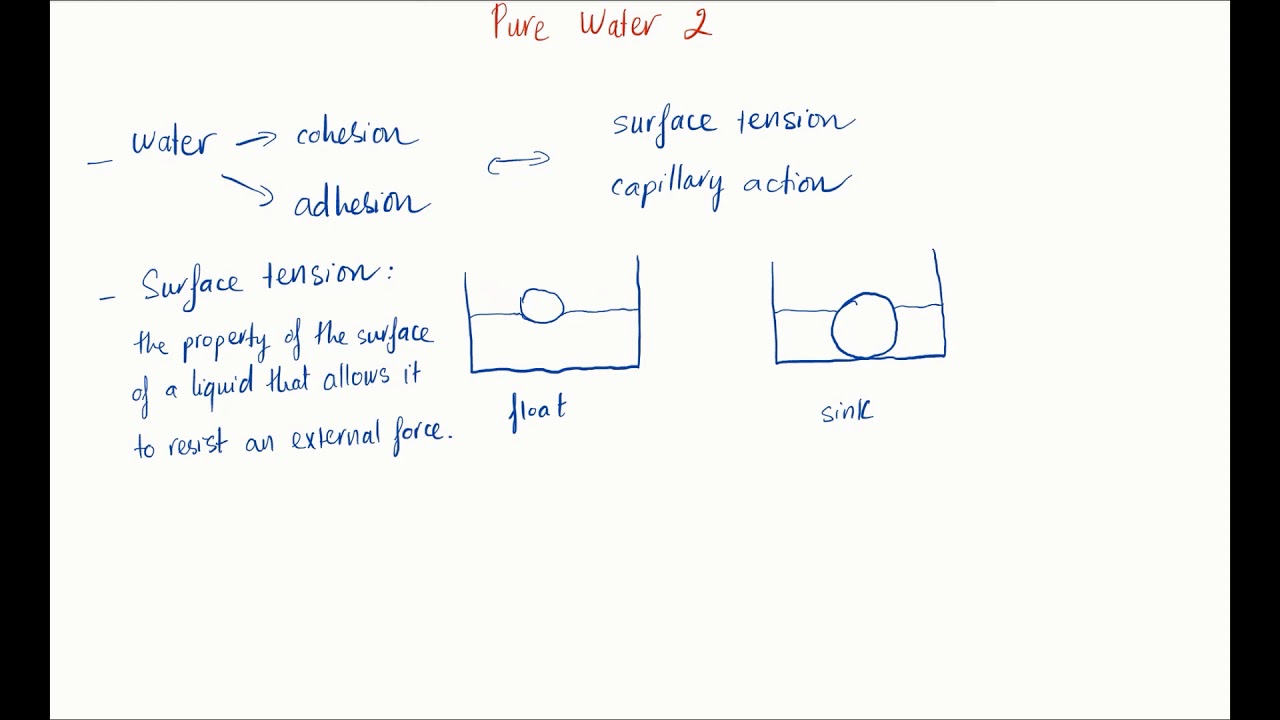 ⁣Cohesion and adhesion | Intermolecular Forces | meriSTEM