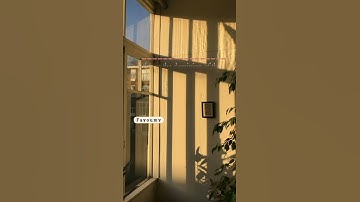 ارح سمعك تلاوة هادئه للقارئ الشيخ ياسر الدوسري 🧡🧡