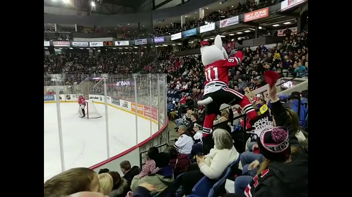 New Years Ice Dogs