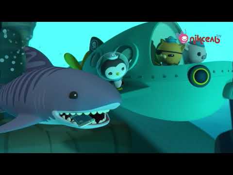 Download S04E21 Октонавти і тигрова акула