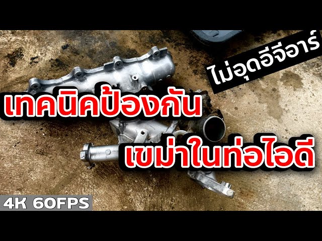 ล้างอีจีอาร์และท่อไอดี -  - Thailand