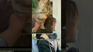 Kimsin Nan Sen Sjjsndnfnjd