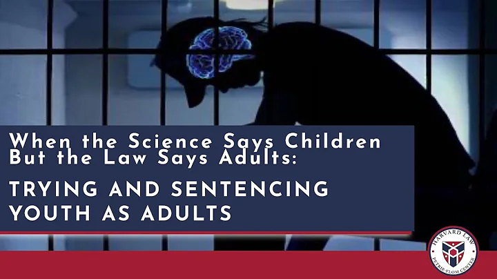 When the Science Says Children But the Law Says Adults: Trying and Sentencing Youth as Adults - DayDayNews