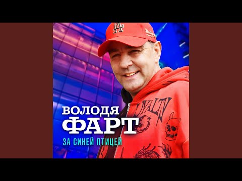 За синей птицей