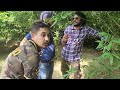 4862 bamboo farming o2 park in punjab oxygen park s2e2 robin singh ji ke farm  9081039222