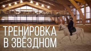 Тренировка. Верховая езда. Начальный уровень