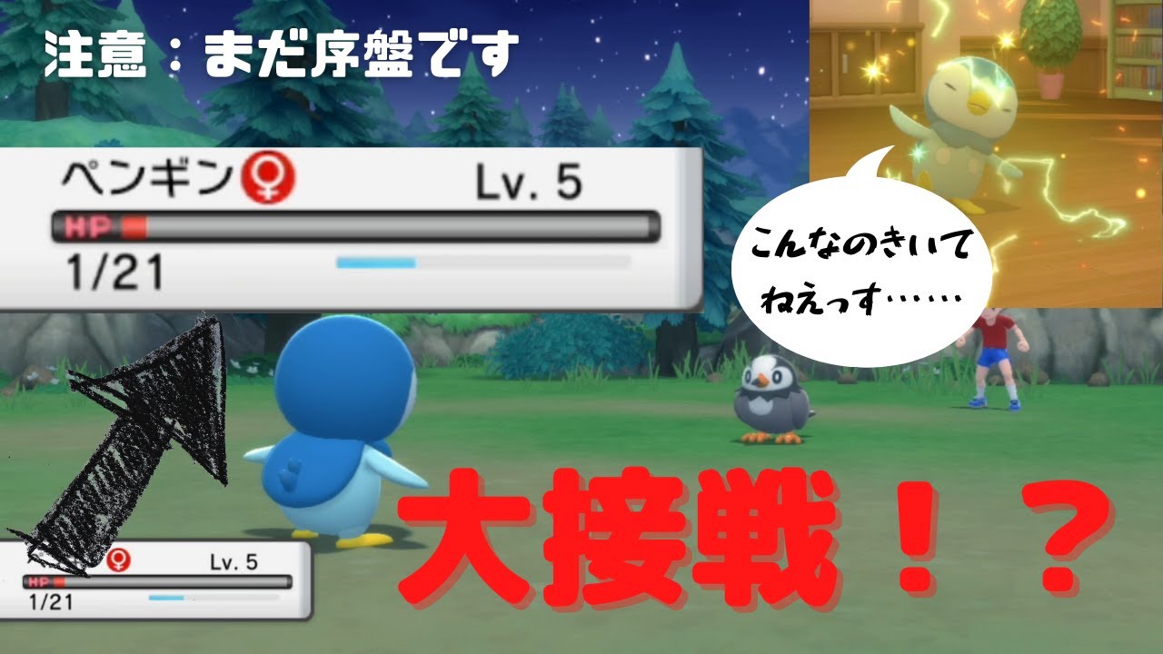 第一話 実は一番強いポケモントレーナーは短ぱんこぞう ポケモン縛りプレイ実況 ブリリアントダイヤモンド シャイニングパール Youtube