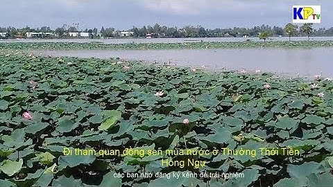 Về Vùng biên Hồng Ngự (Đồng Tháp) Mùa nước nổi