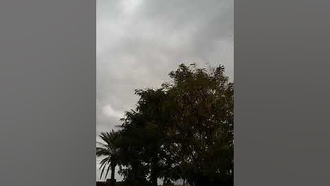 تلاوة من سورة النور ؛ (  ألم تر أن الله  يزجي سحابا ... )
