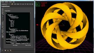 Twisted Torus