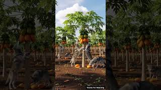 Ai video story