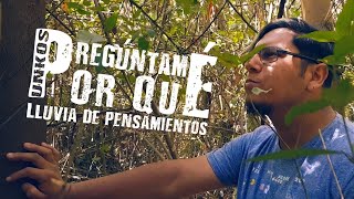 Unkos - Pregúntame por qué (Oficial)