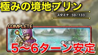 【ドラクエタクト】極みの境地　プリン 5~6ターン安定攻略