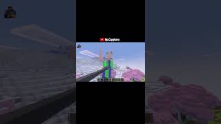 MINECRAFT MAS EU NÃO POSSO PISAR NO SAPO