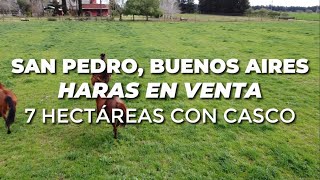 Haras El Mirador en VENTA - Campo de 7 hectáreas en San Pedro, Buenos Aires