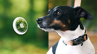 Stadt, Land, Hund – das AirTag Review!