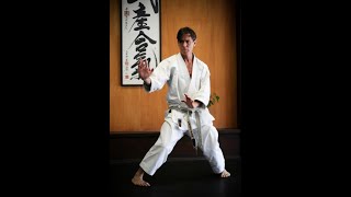 One Of The Best Shotokan Karate Masters - Rick Hotton