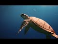 RORQUAL - Le film complet | Gérard Darmon | WWF Mp3 Song