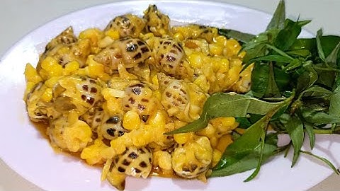 Cách làm món Ốc Hương Sốt Phô Mai thơm ngon tuyệt vời - Combo Món Ăn