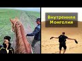 Пустыня, верблюды, кони и степь - Внутренняя Монголия в Китае, г.Баотоу и Хух-Хото | by Luma Fusion